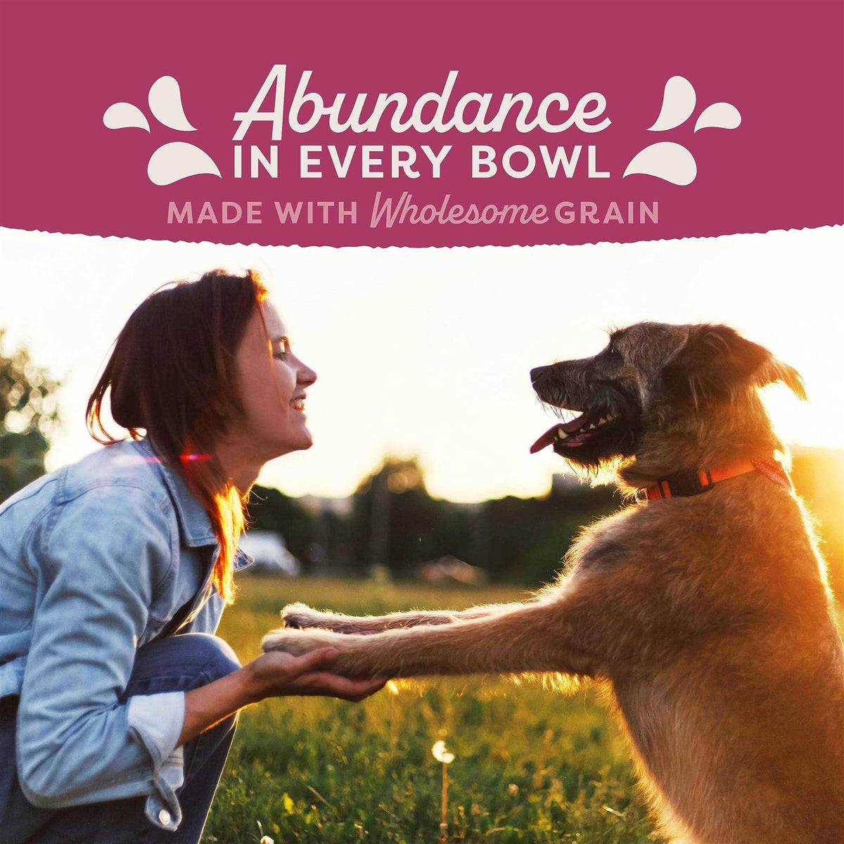 Chicken Dog Food Z405647
