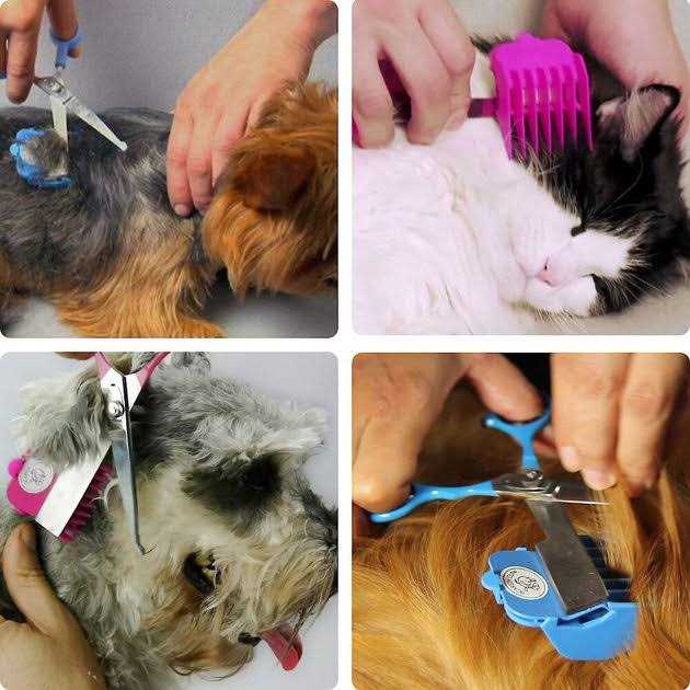 Silent Pet Grooming Kit V728517