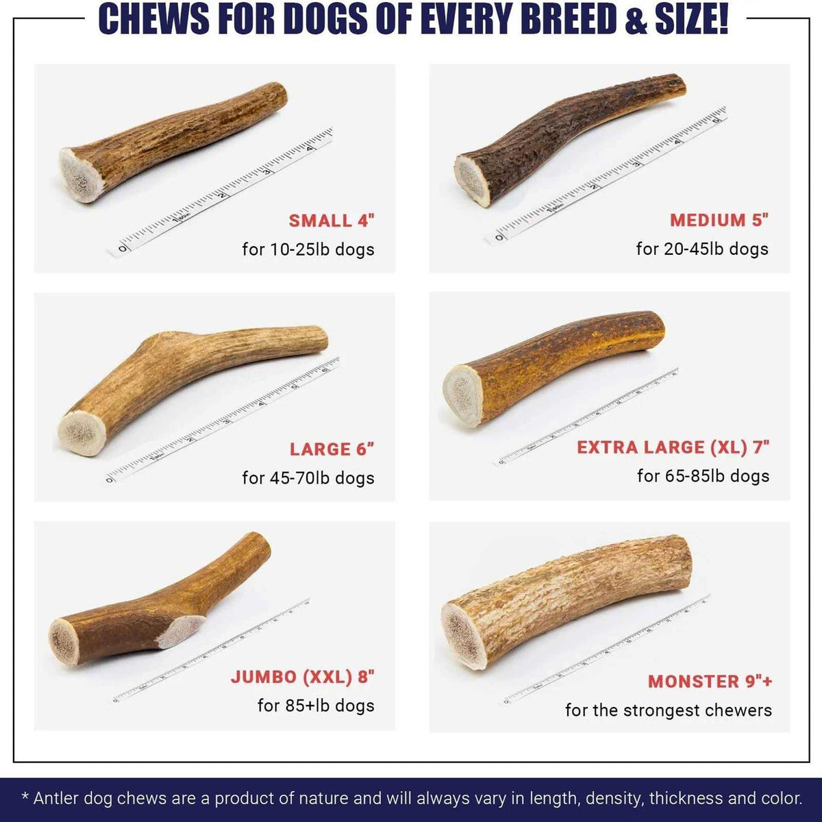 Elk Antler Dog Chew H795