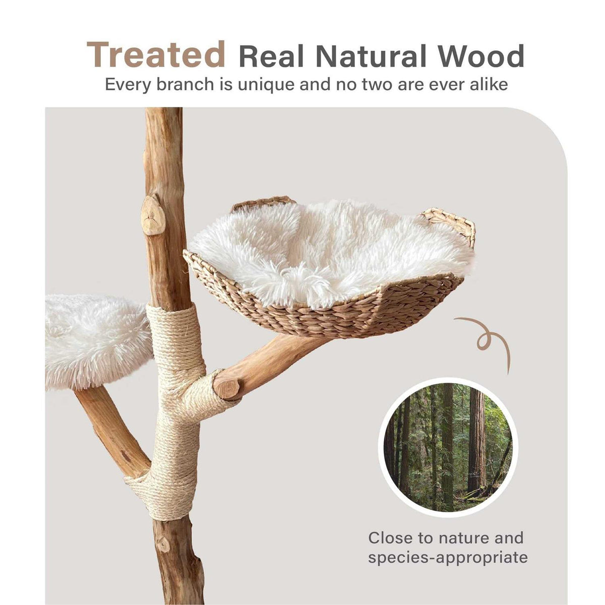 Modern Wooden Cat Tree Tower Q5666