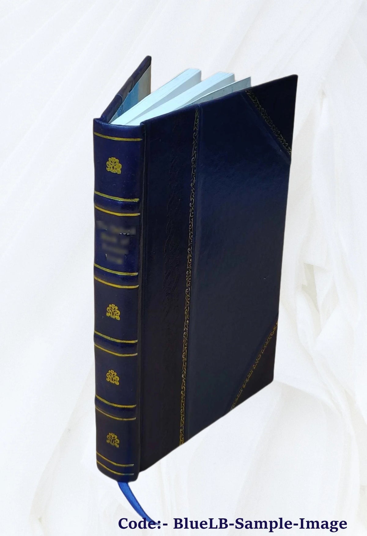 Recollections of a Diplomat 1918 Leather Bound B739