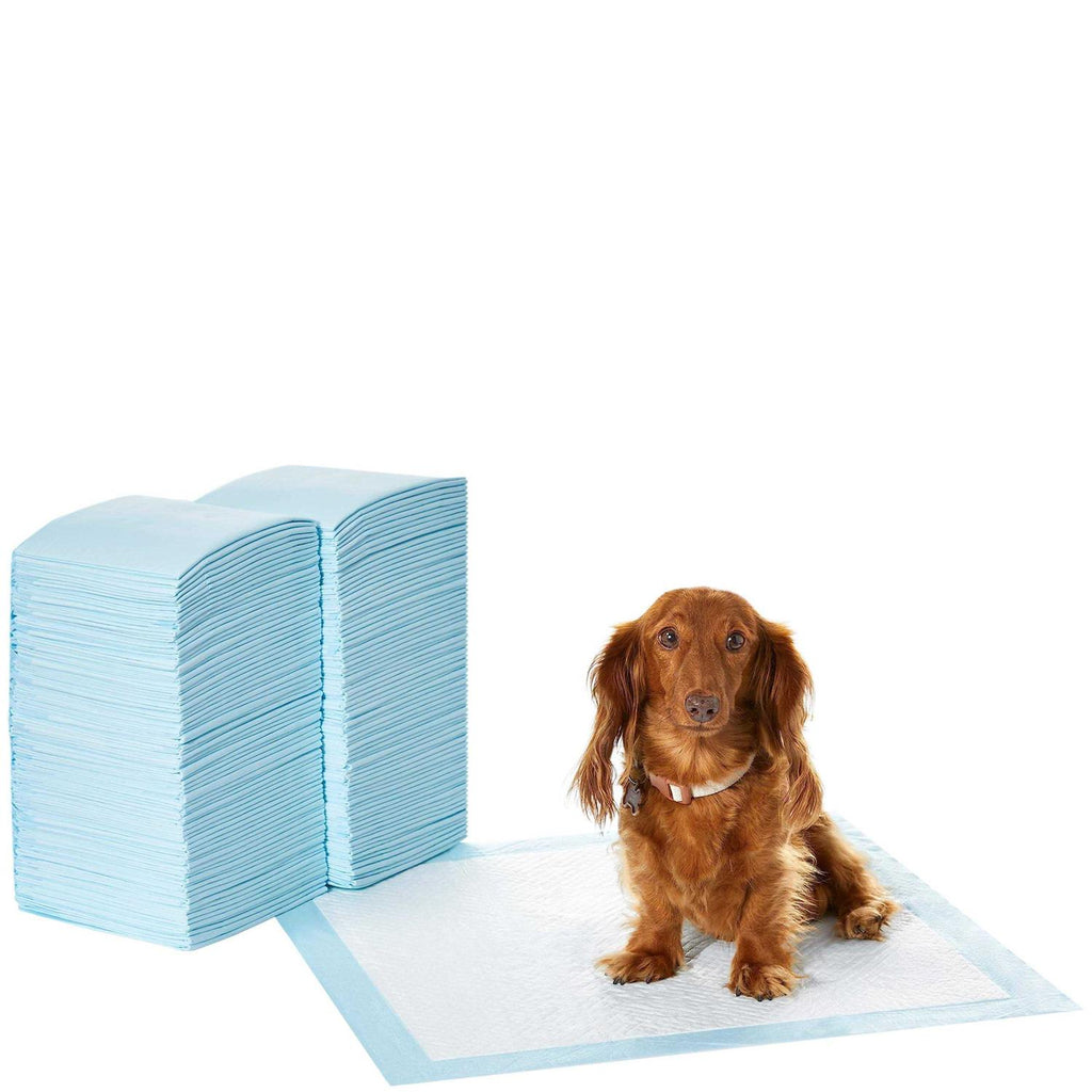 Dog and Puppy Pee Pads with Leak-Proof Quick-Dry Surface C21119