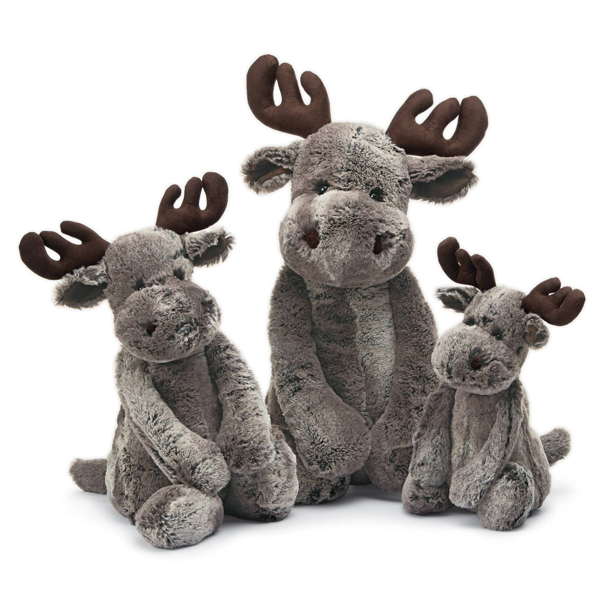 Large Moose D733