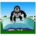 Gorilla Floor Padding 12' x 24' Oval S594