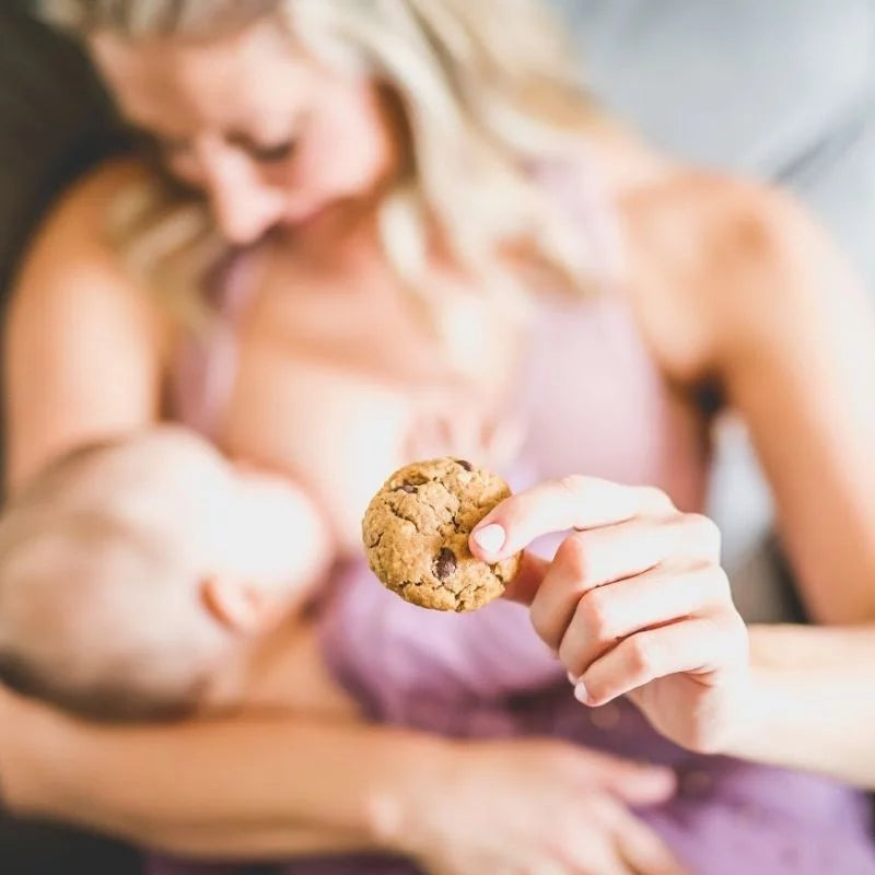 Oatmeal Raisin Soft Baked Lactation Cookie Mix 15oz G81011