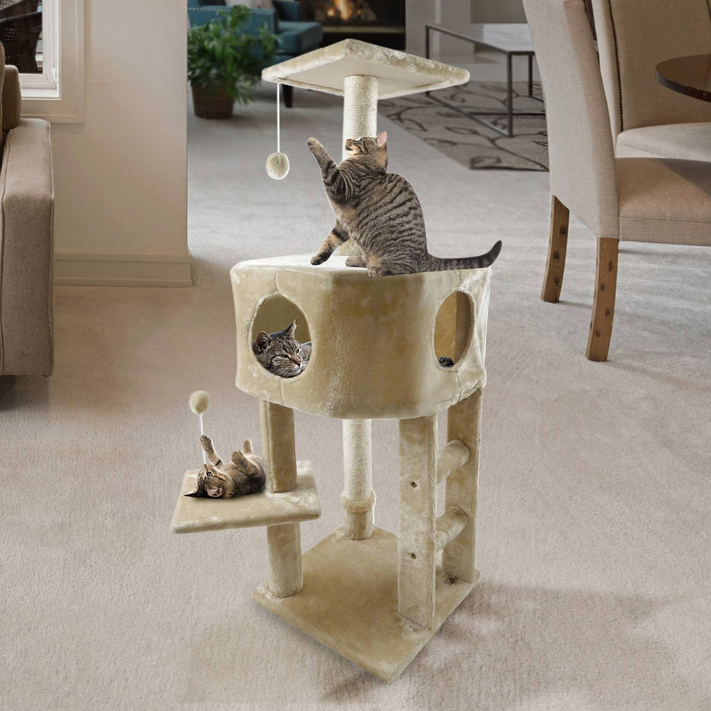 Cream Cat Playground U567