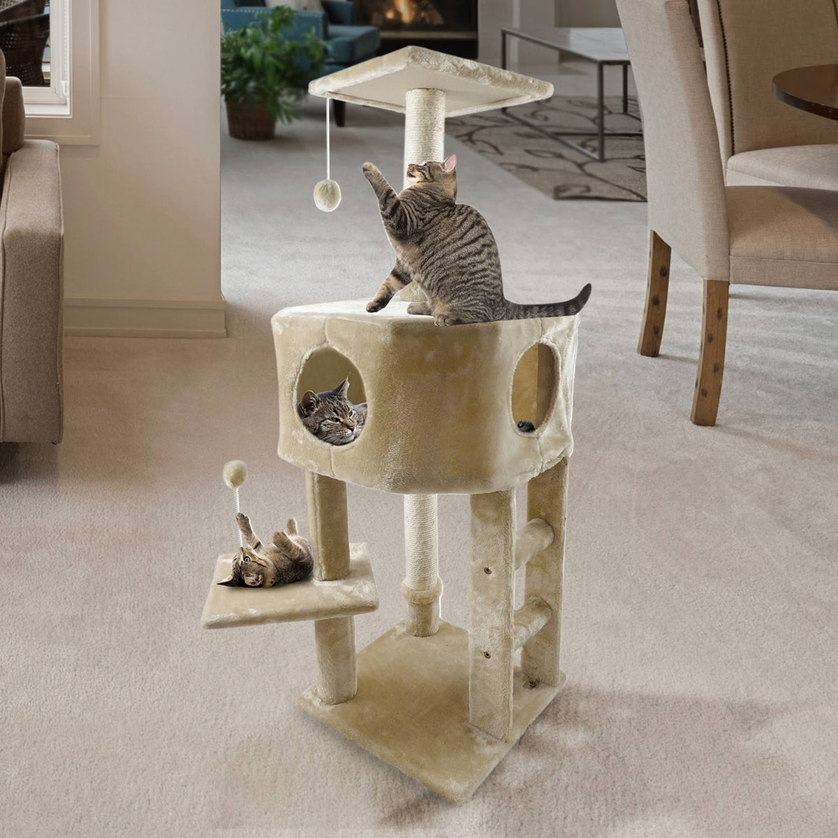 Cream Cat Playground U567