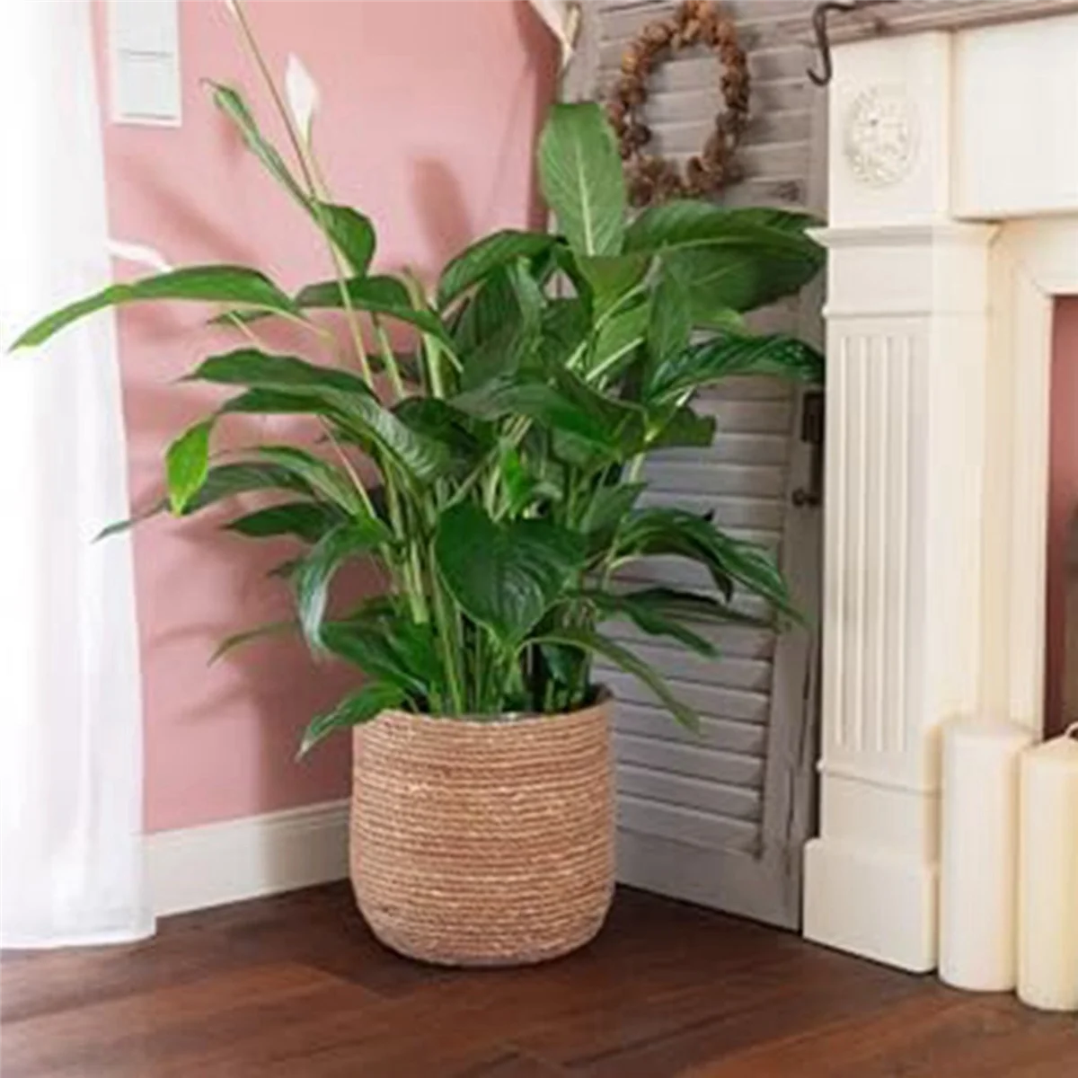 Seagrass Flower Pot - Woven Decorative Basket with Film Insert X4115