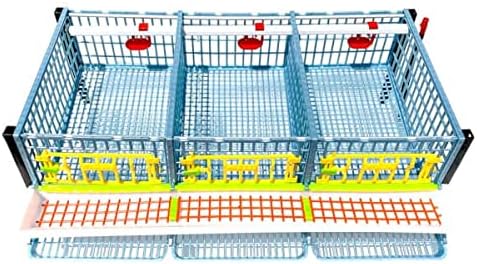 2 Layer ABS Plastic Quail Cage Z1691