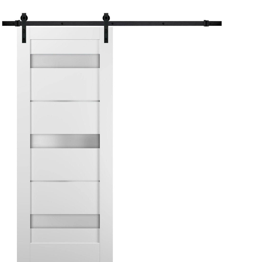 Sliding Barn Door Hardware with Frosted Opaque Glass M290