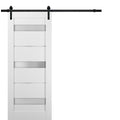 Sliding Barn Door Hardware with Frosted Opaque Glass M290