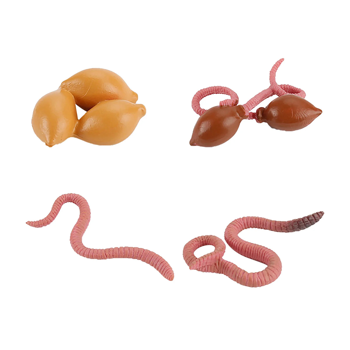 4 Piece Insect Animal Life Cycle Plastic Figures Z102