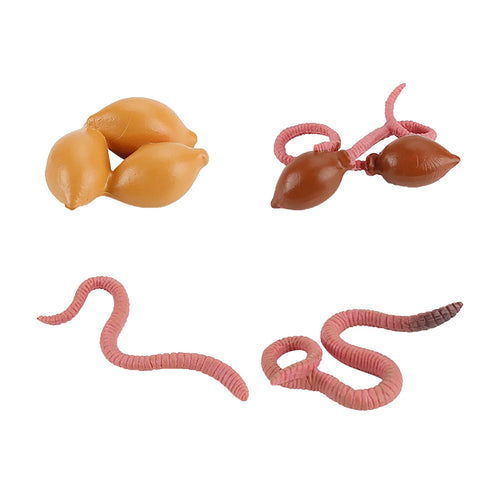 4 Piece Insect Animal Life Cycle Plastic Figures Z102