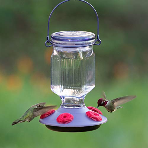 Lavender Field Glass Hummingbird Feeder Purple 16 oz N9787
