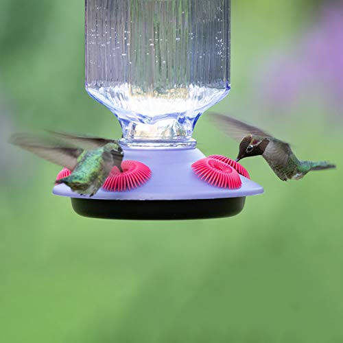 Lavender Field Glass Hummingbird Feeder Purple 16 oz N9787