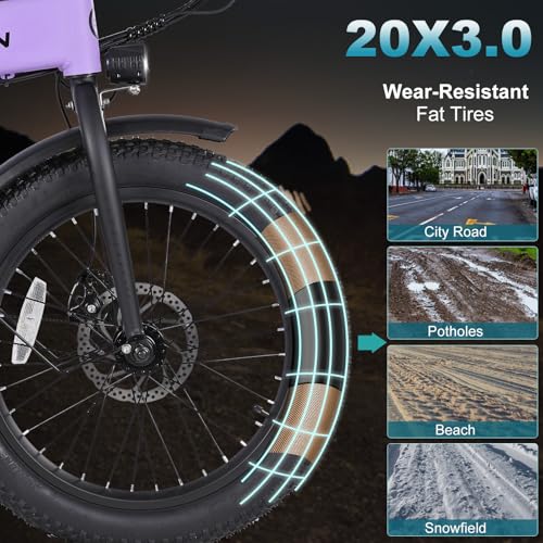 20"×3.0 Fat Tire Folding Electric Bike with 374.4Wh Battery C2391