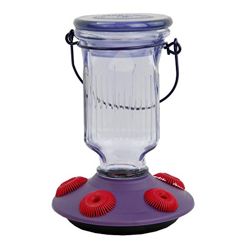 Lavender Field Glass Hummingbird Feeder Purple 16 oz N9787