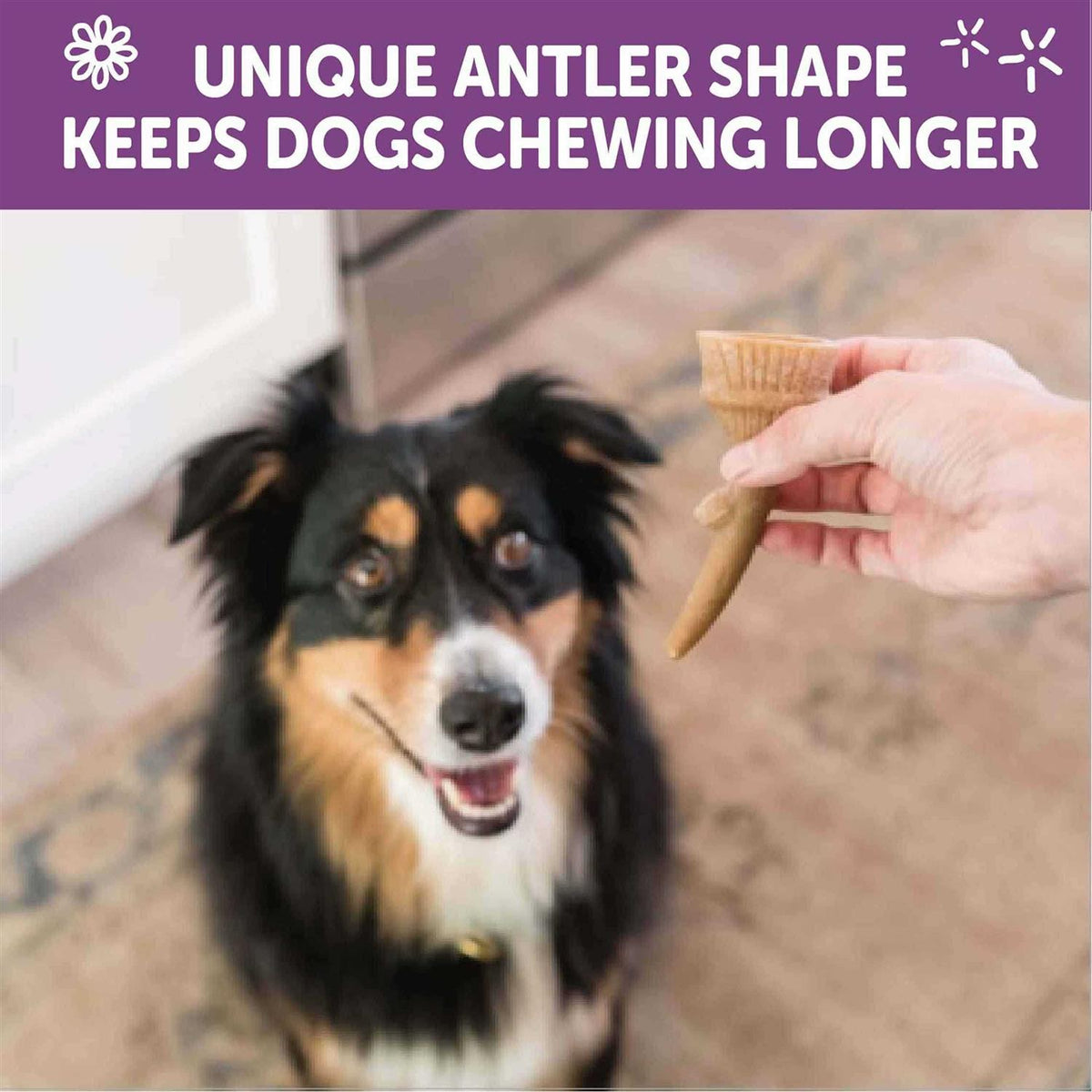 Dog Chews Value Bag B632981