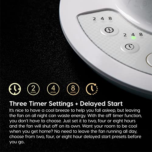 Large Oscillating 8-in-1 Fan with Remote and Timer U5787