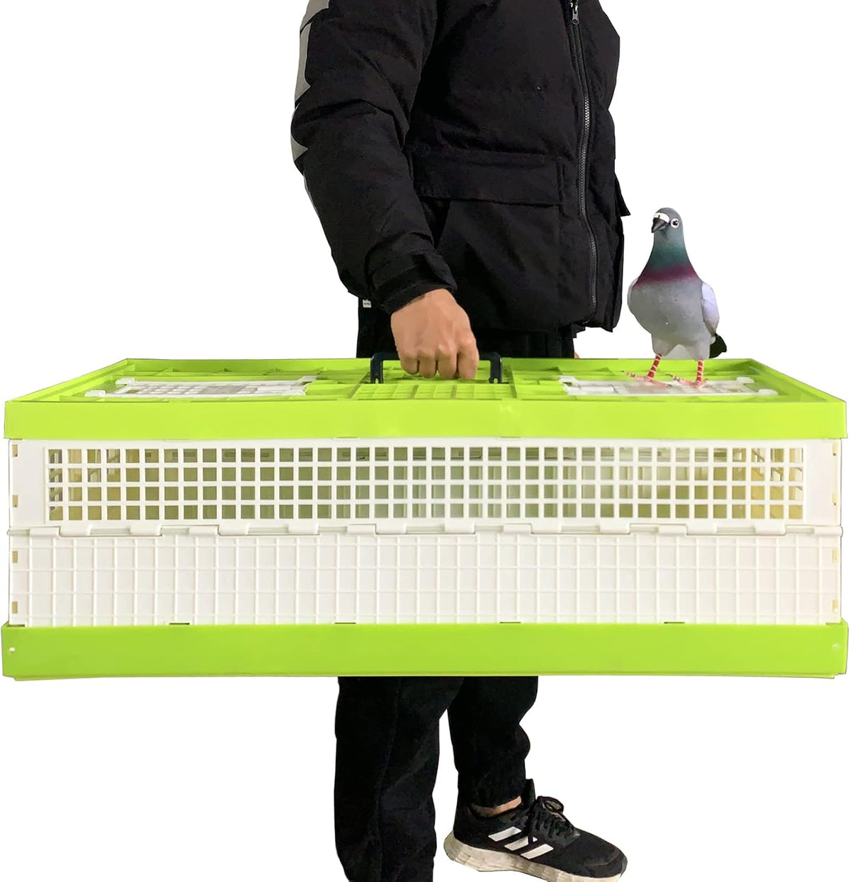 Plastic Folding Pigeon Cage 32in D998189
