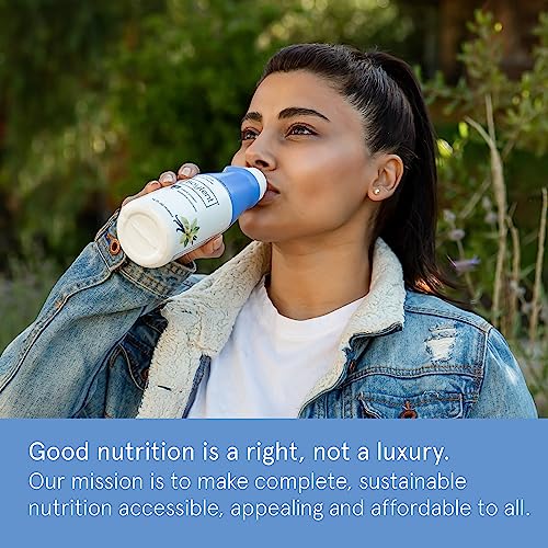 Gingerbread Plant Based Protein Drink, 11oz (12 Pack) D472764