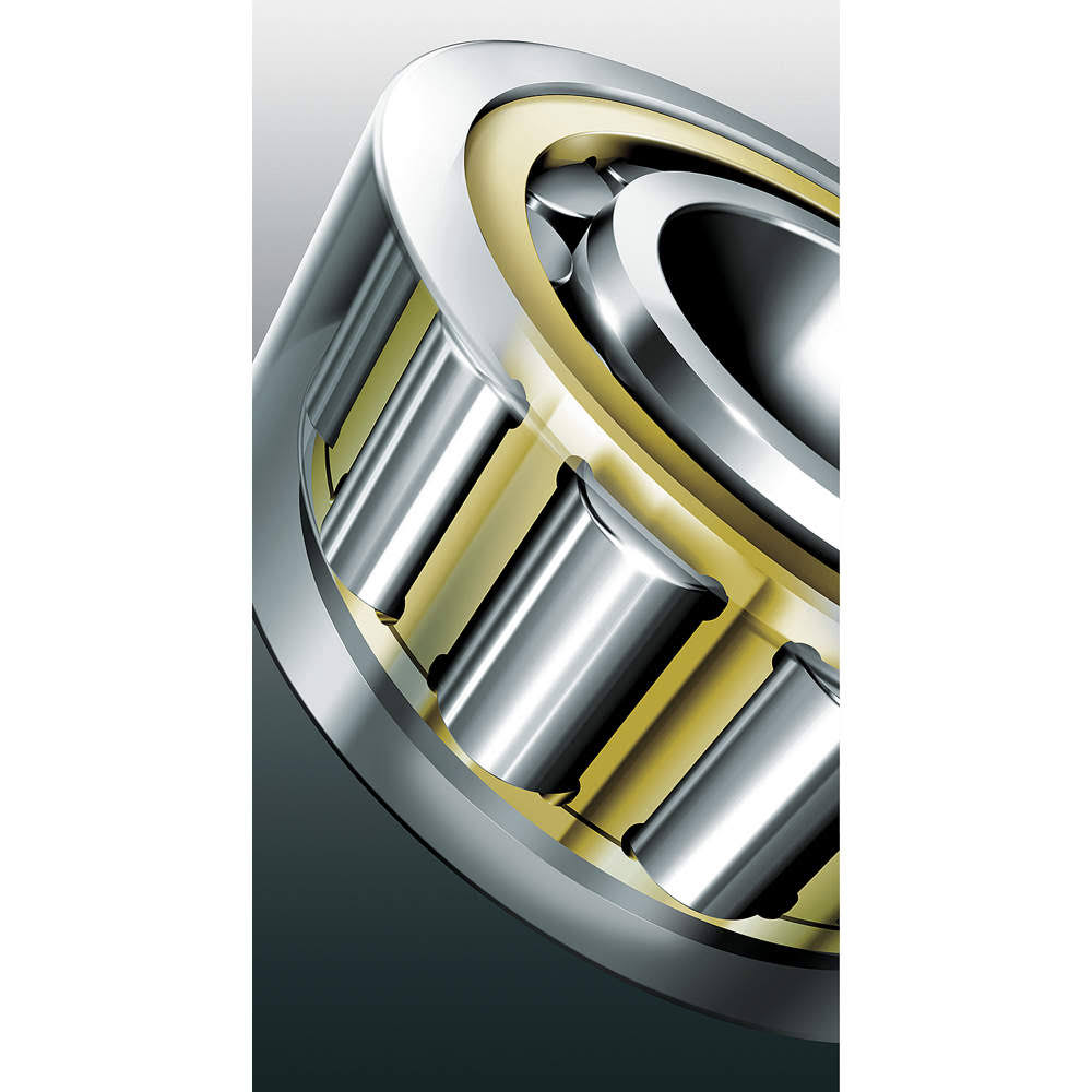Cylindrical Roller Bearings N115