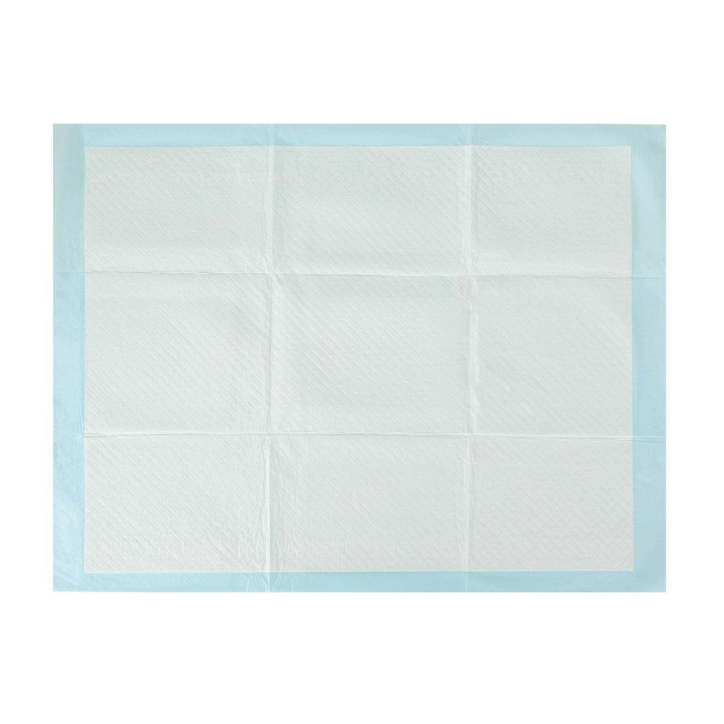 XL Training Pads B1370