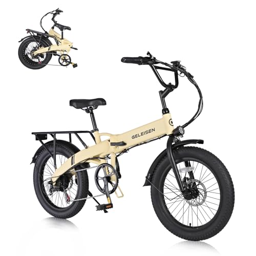20"×3.0 Fat Tire Folding Electric Bike with 374.4Wh Battery C2391