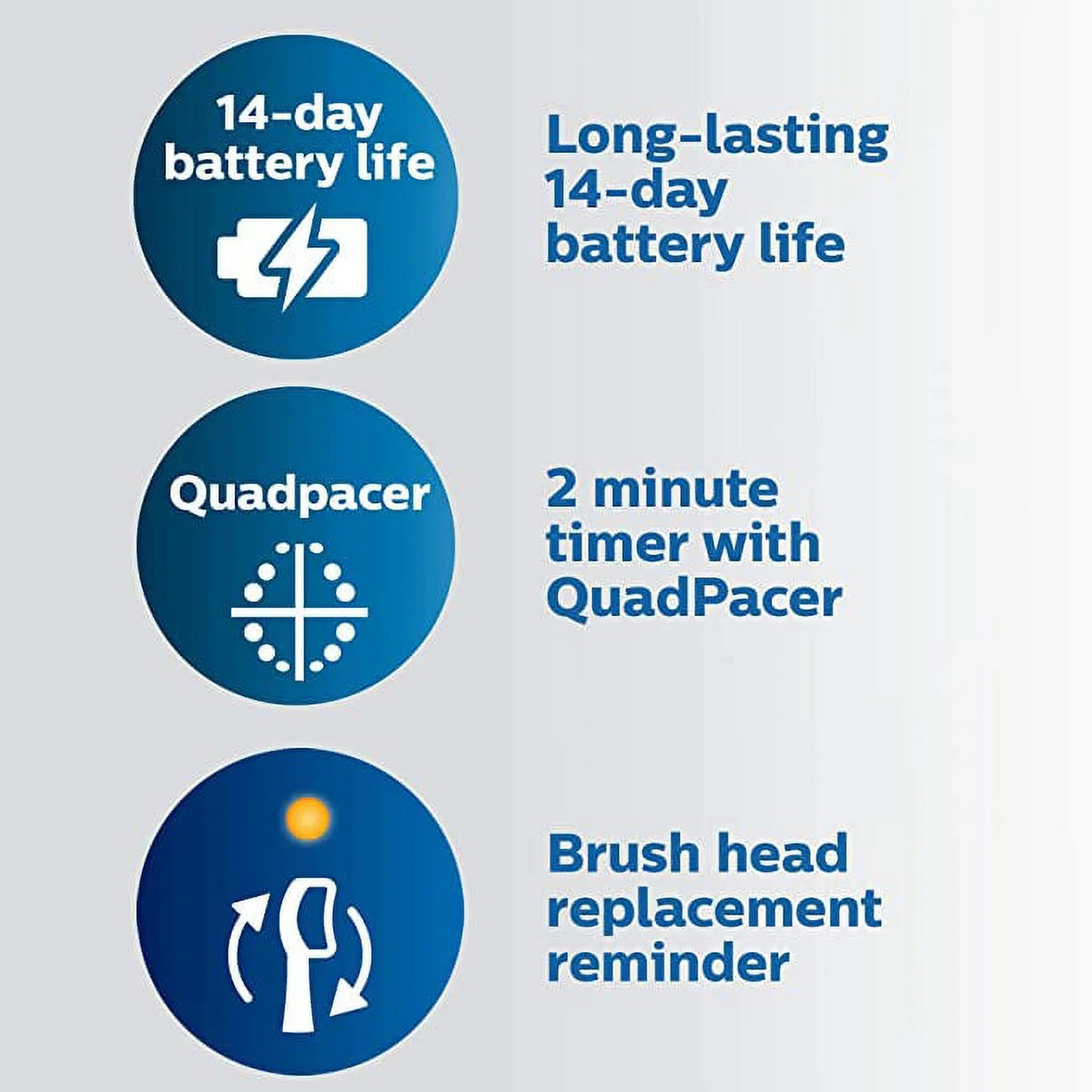 Black Rechargeable Electric Toothbrush Z412