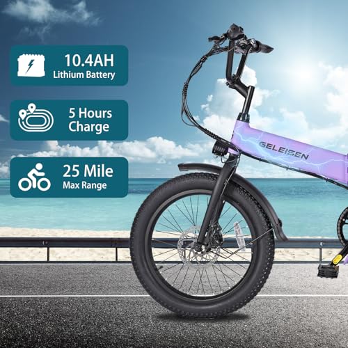 20"×3.0 Fat Tire Folding Electric Bike with 374.4Wh Battery C2391