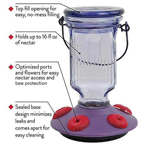 Lavender Field Glass Hummingbird Feeder Purple 16 oz N9787