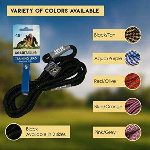 Slip Lead Leash 2-in-1 Dog Training Lead & Collar P238851