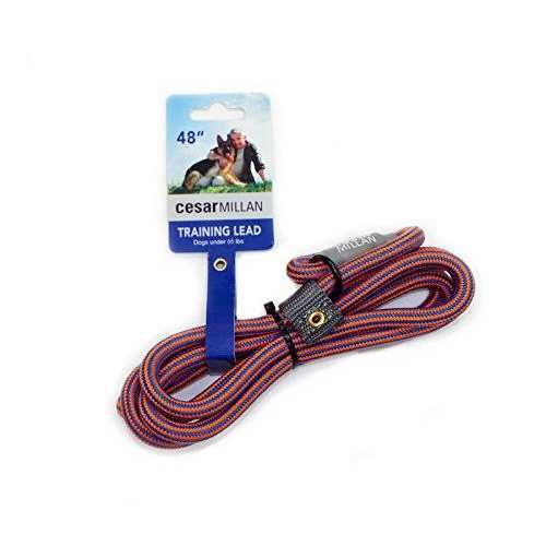 Slip Lead Leash 2-in-1 Dog Training Lead & Collar P238851