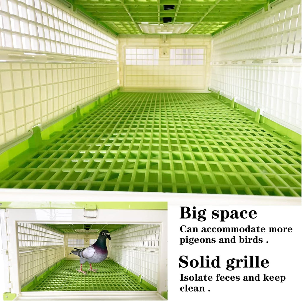 Plastic Folding Pigeon Cage 32in D998189
