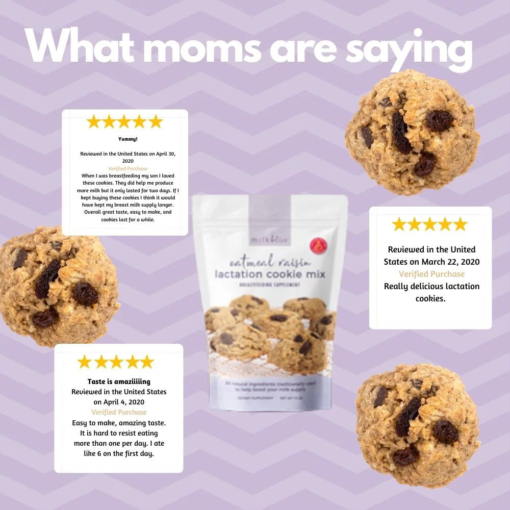 Oatmeal Raisin Soft Baked Lactation Cookie Mix 15oz G81011