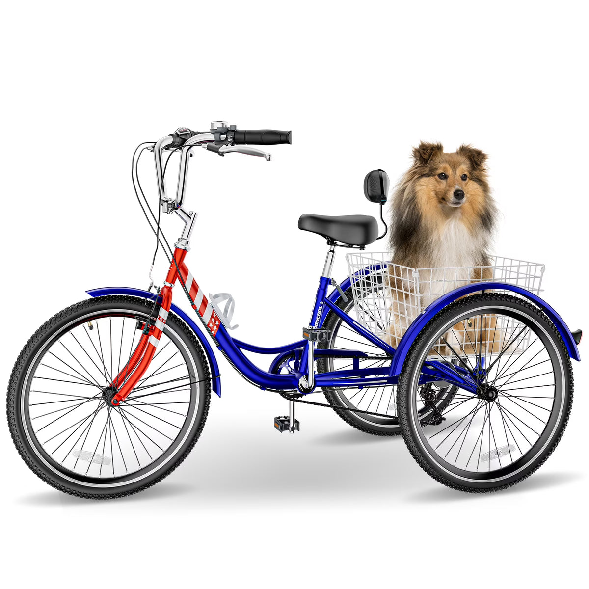Adult Tricycles 3 Wheel 7 Speed 20 inch with Big Basket Y528