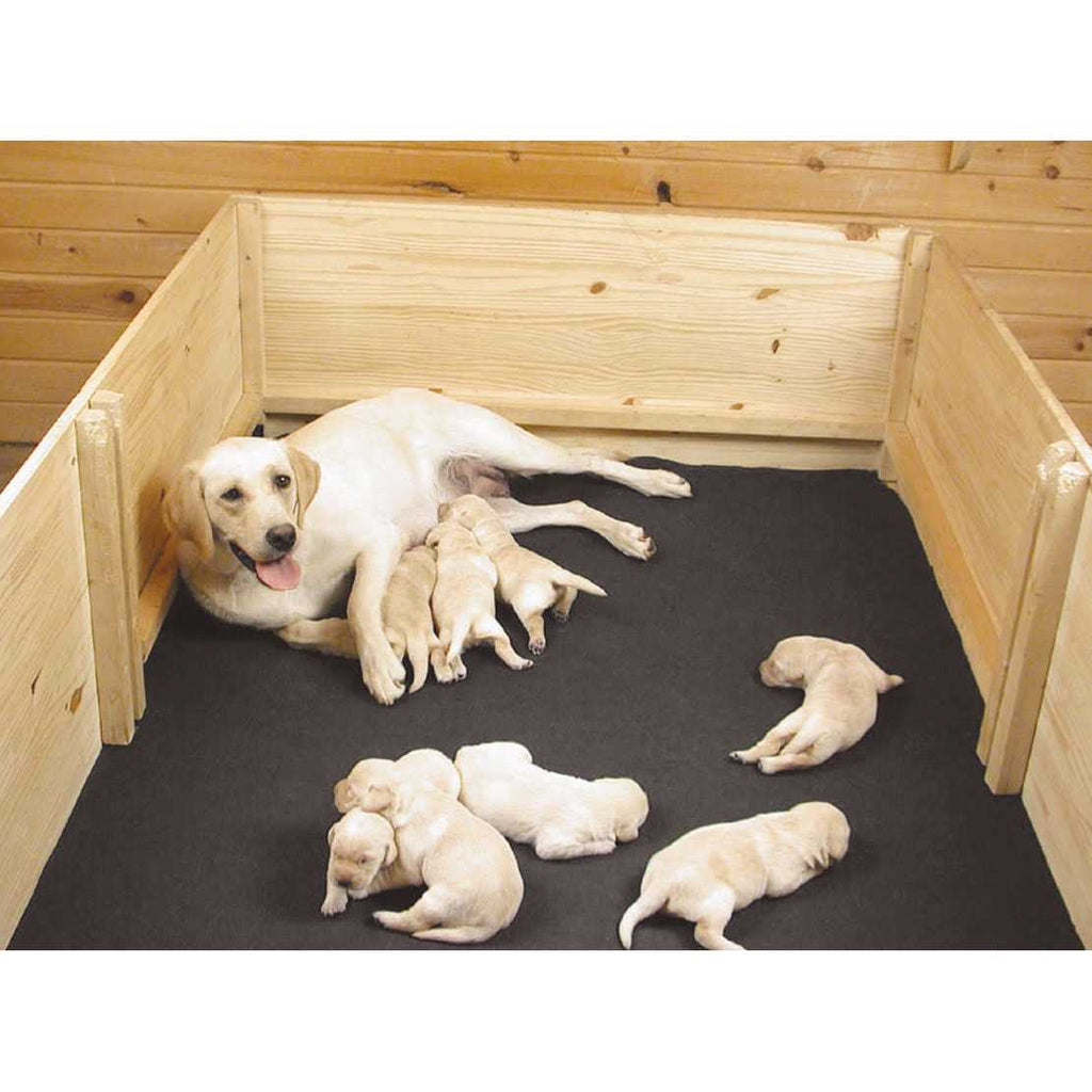 Whelping Box Liner Mat R630