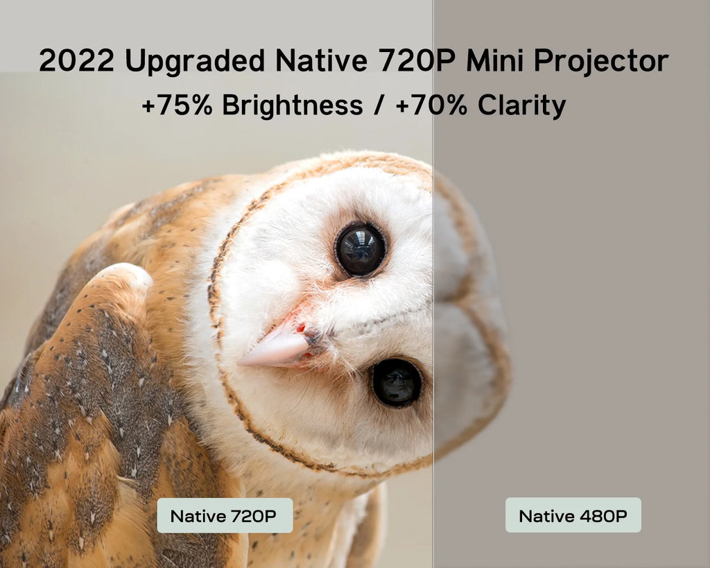1080P 4000 Lumens LCD Portable Projector X691848