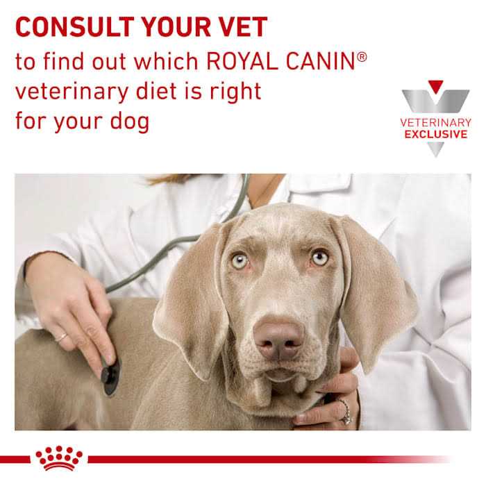 Hydrolyzed Protein Dry Dog Food U789319