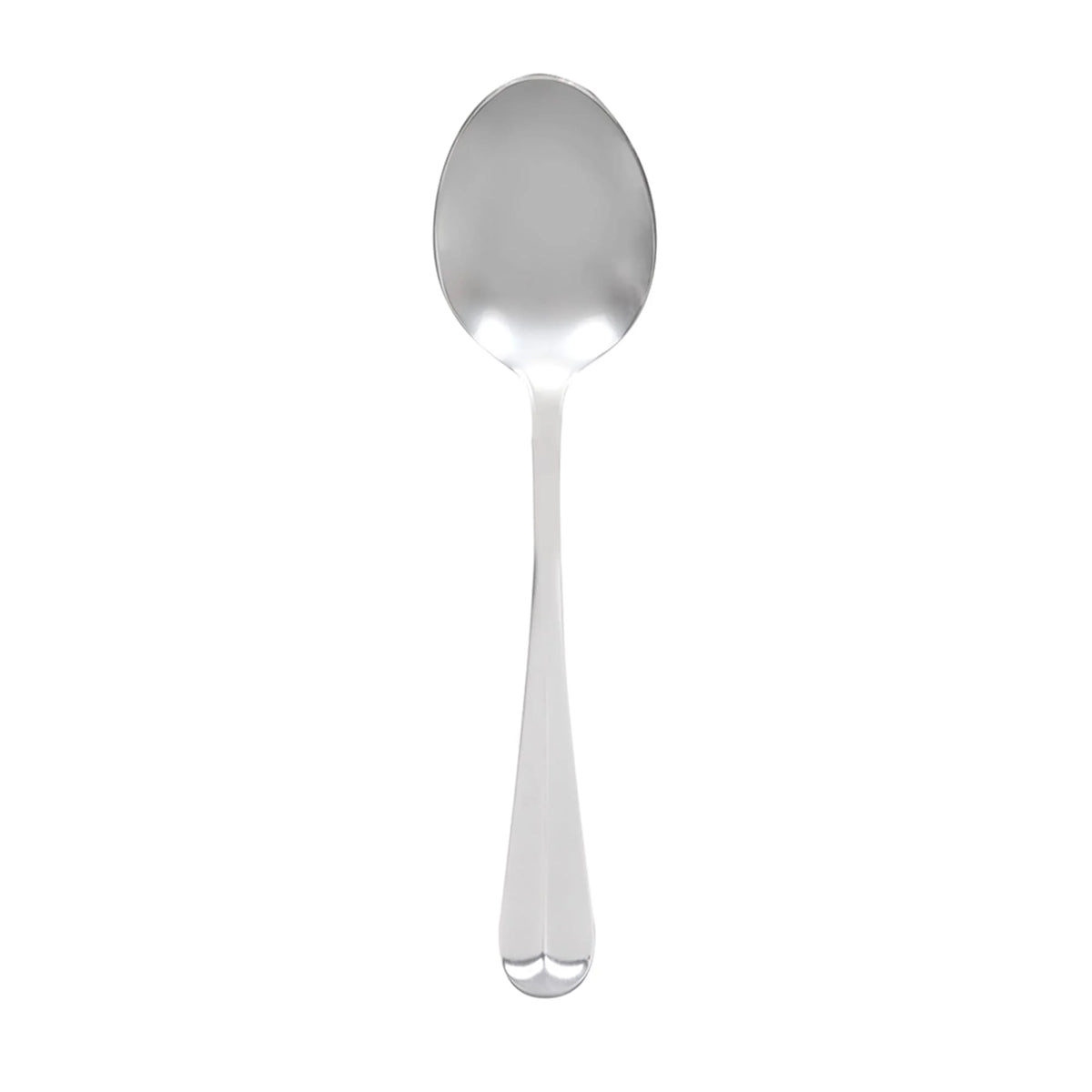 Stainless Serving Spoon 1 Dozen A697