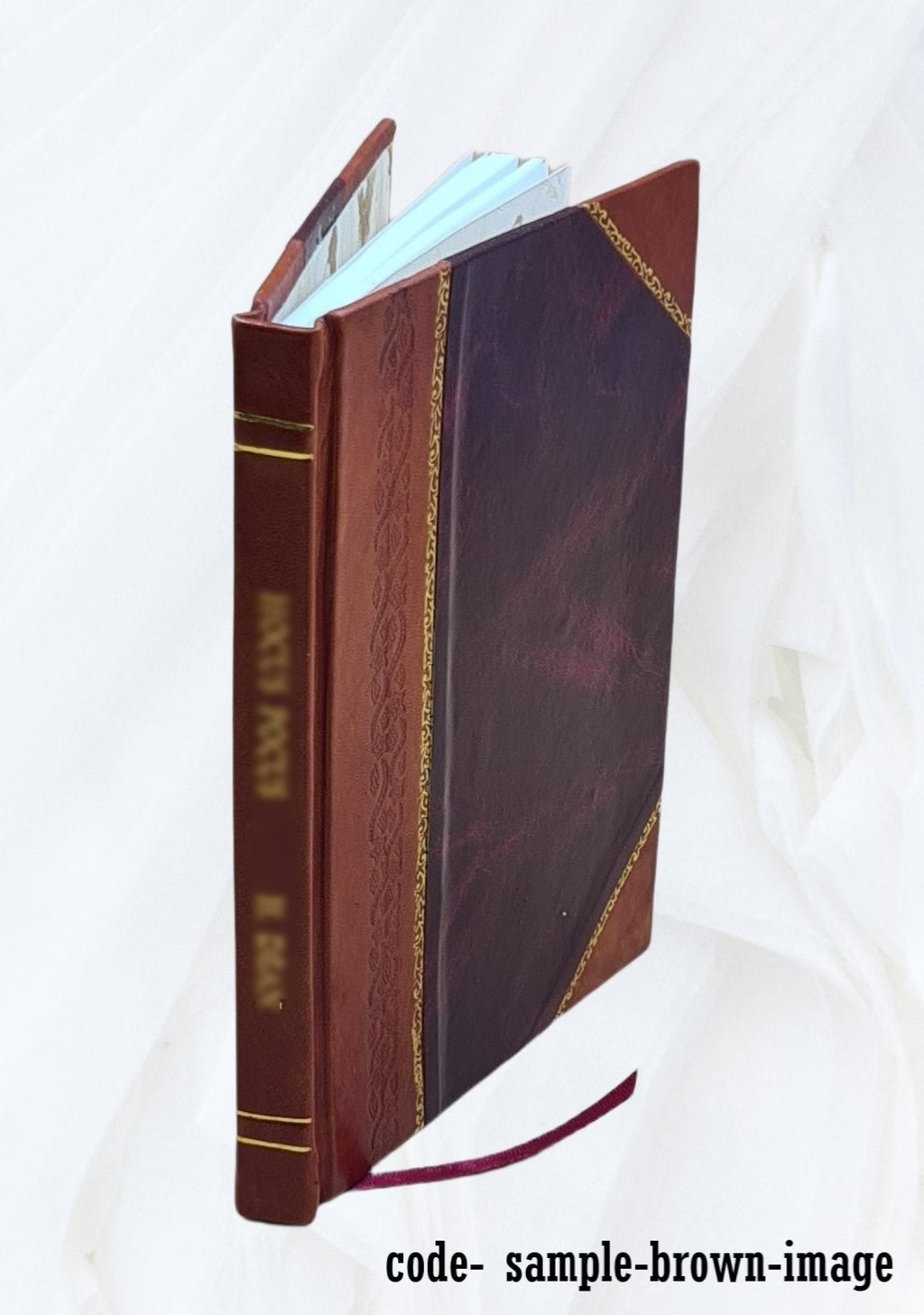 Robbie Doo : his reminiscences. 1914 [Leather Bound] L565895