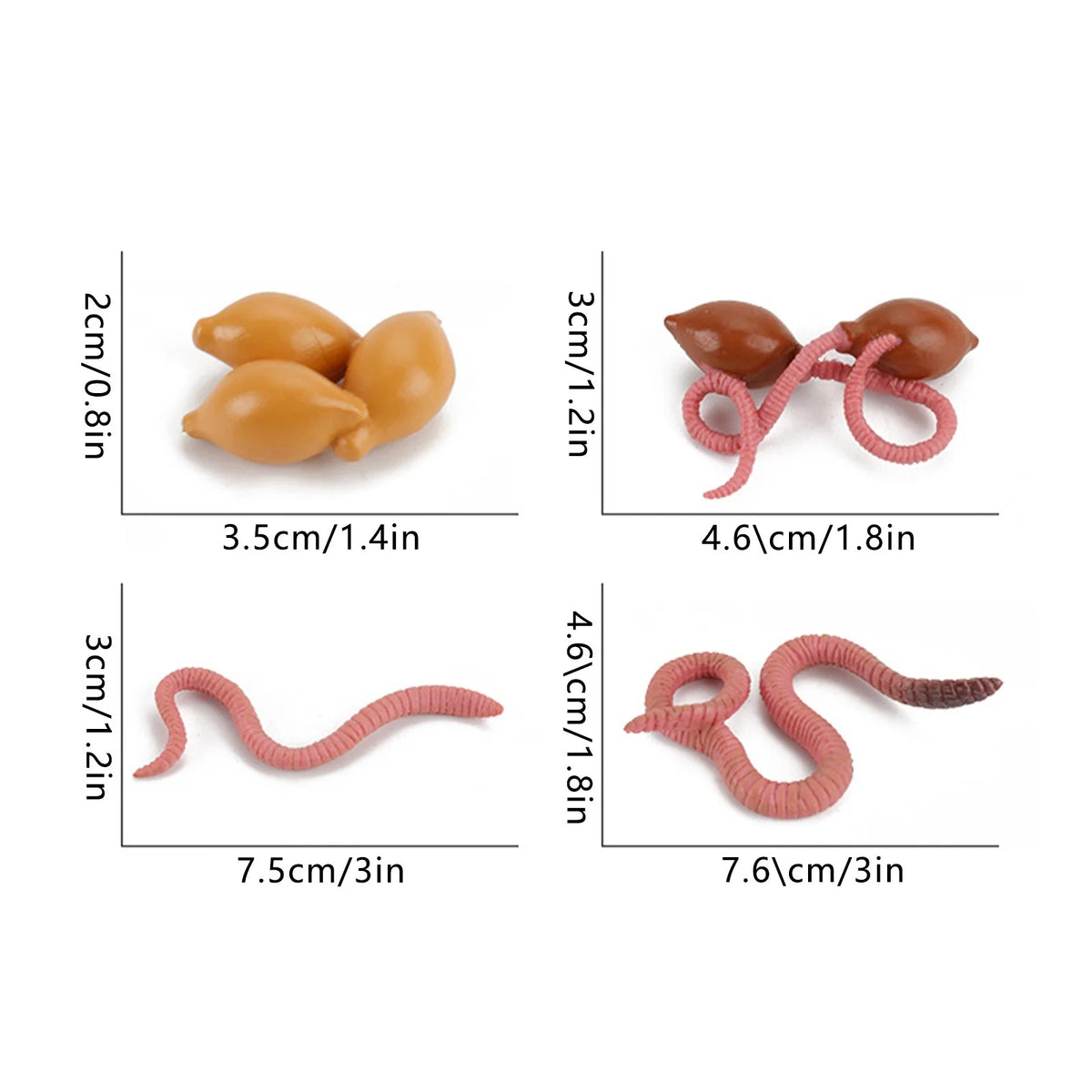 4 Piece Insect Animal Life Cycle Plastic Figures Z102