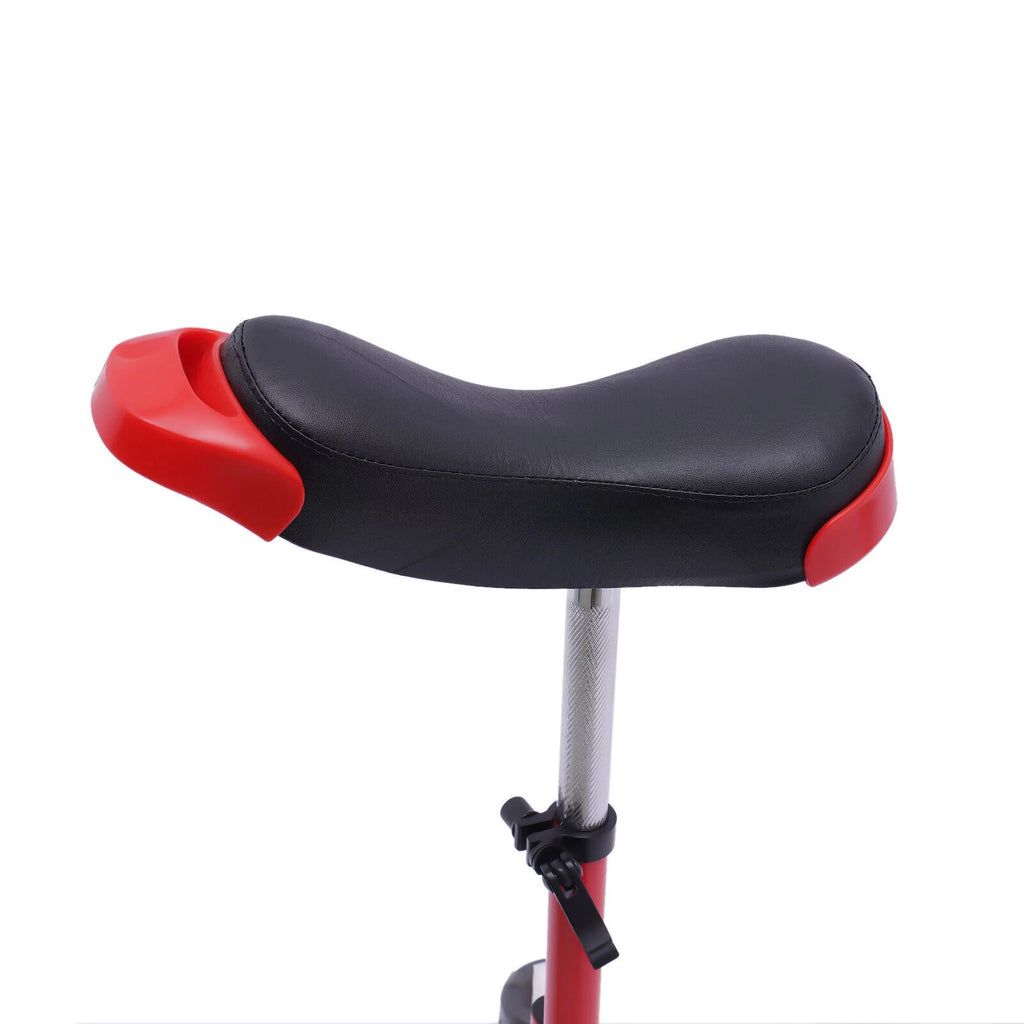 24 Wheel Unicycle N97935