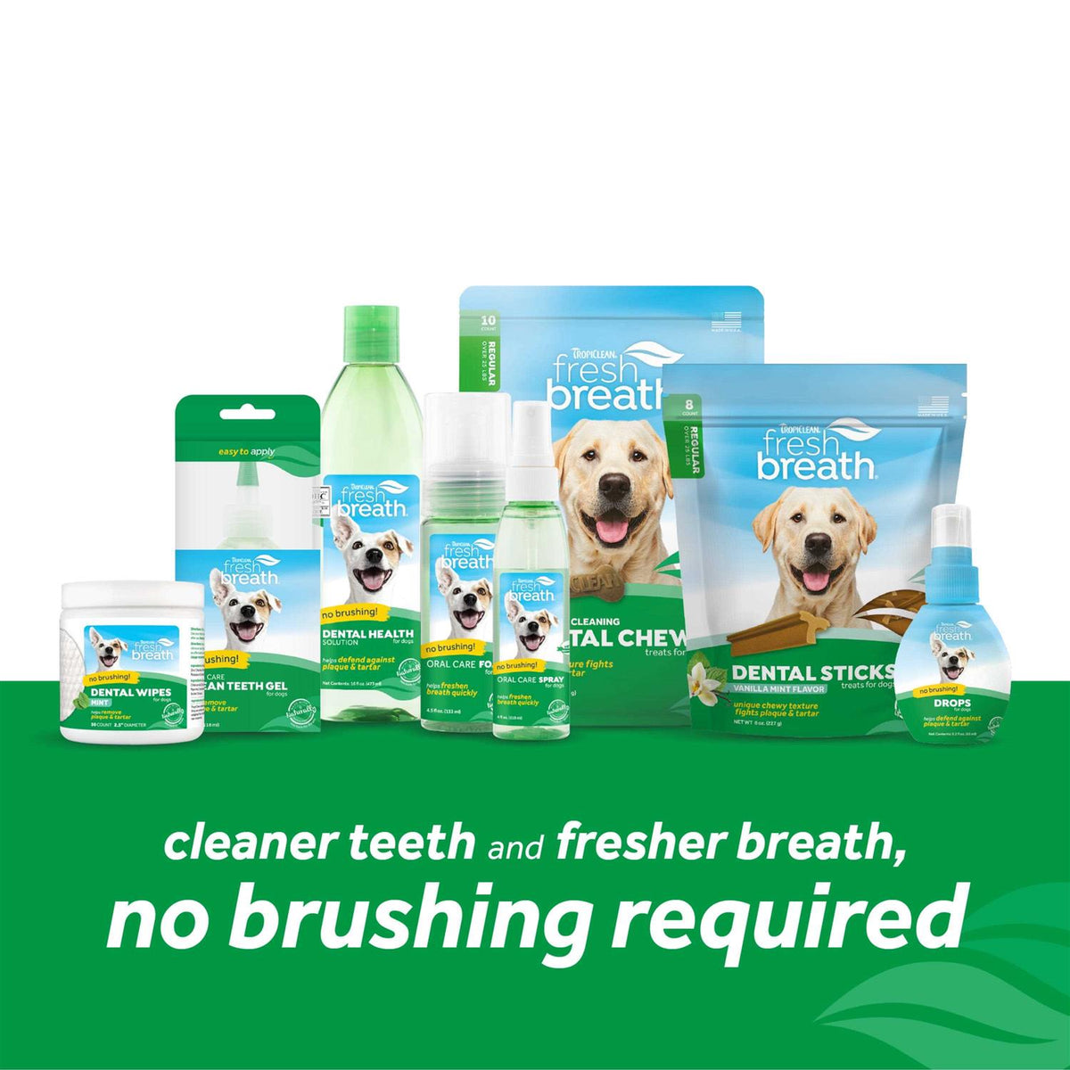 Fresh Breath Oral Care Spray F836153