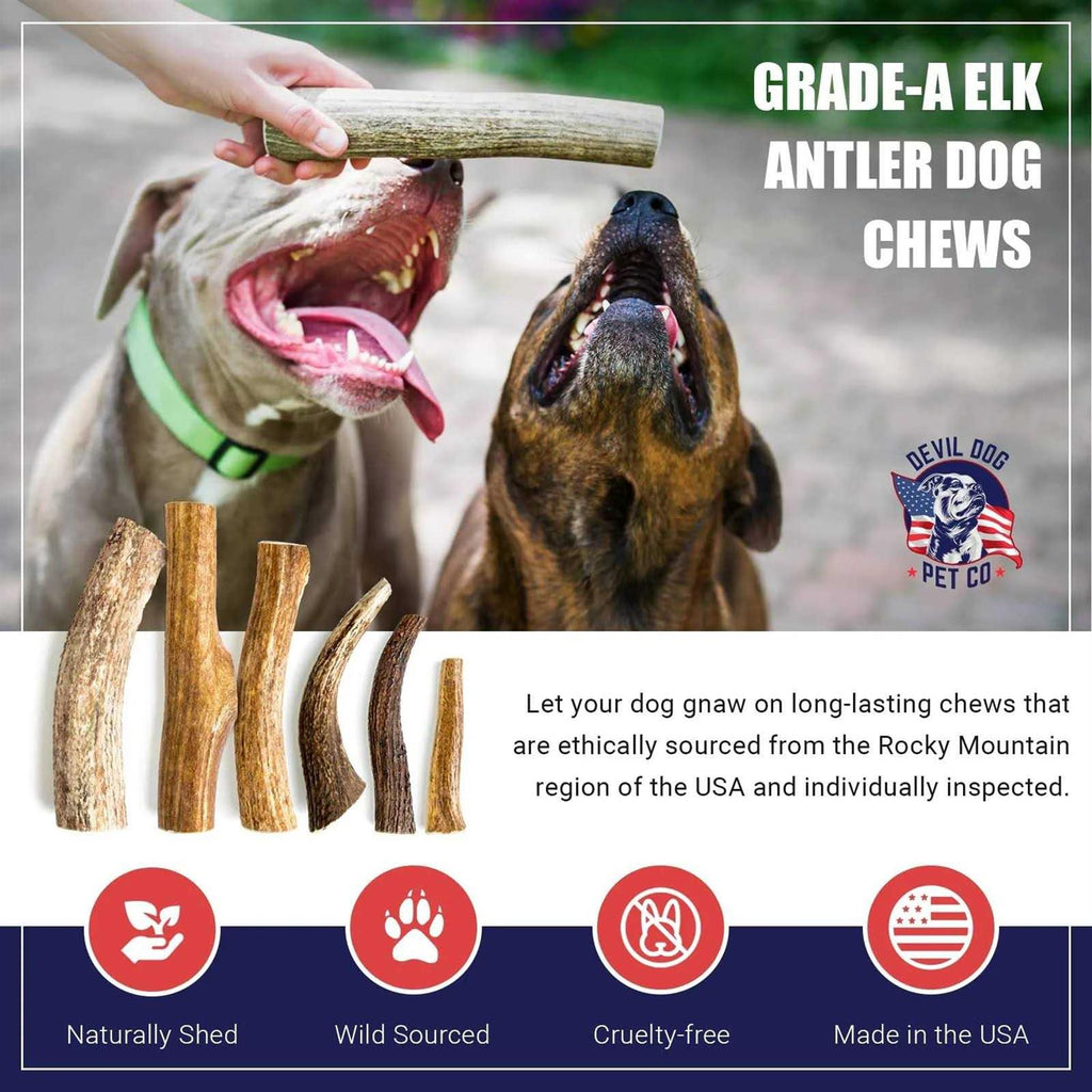 Elk Antler Dog Chew H795