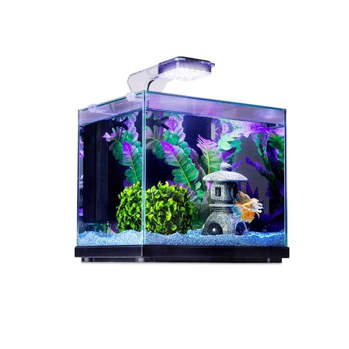 Glass Aquarium J491108