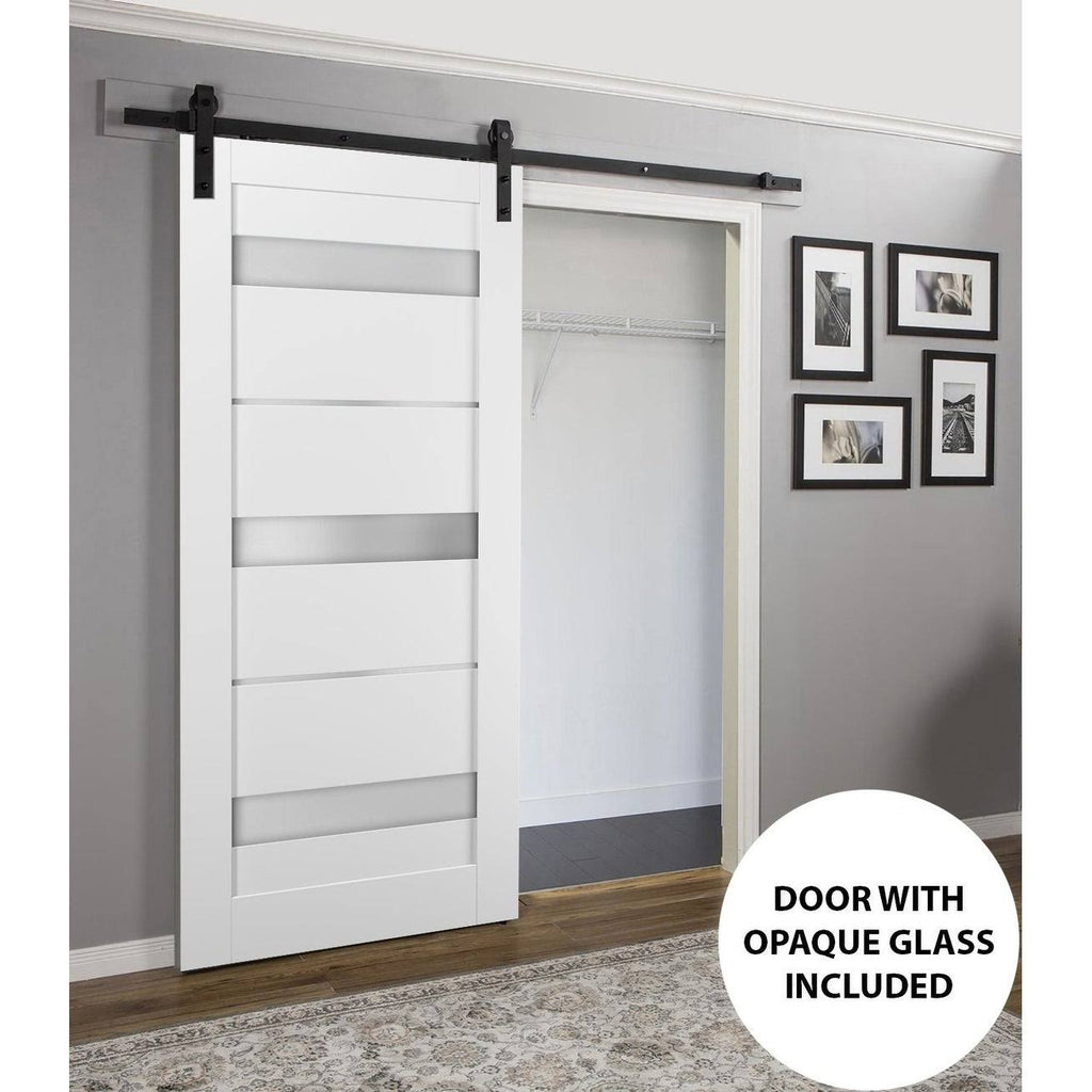 Sliding Barn Door Hardware with Frosted Opaque Glass M290