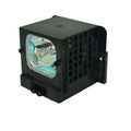 Replacement Lamp & Housing C52698