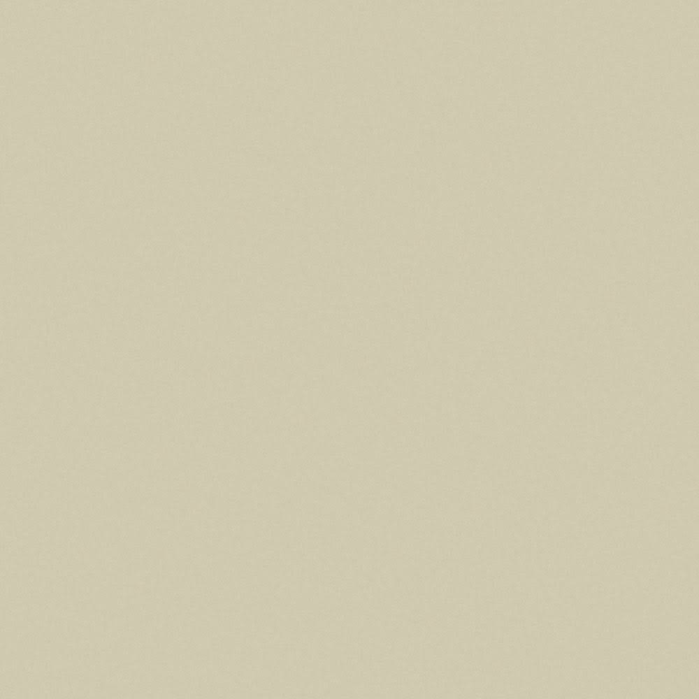 Putty Matte Finish 4 ft. x 8 ft. Laminate Sheet N487989