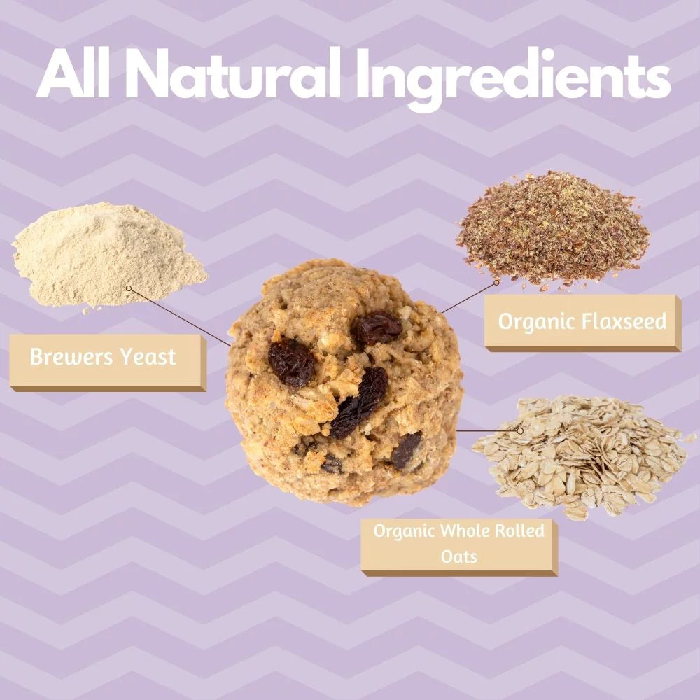 Oatmeal Raisin Soft Baked Lactation Cookie Mix 15oz G81011